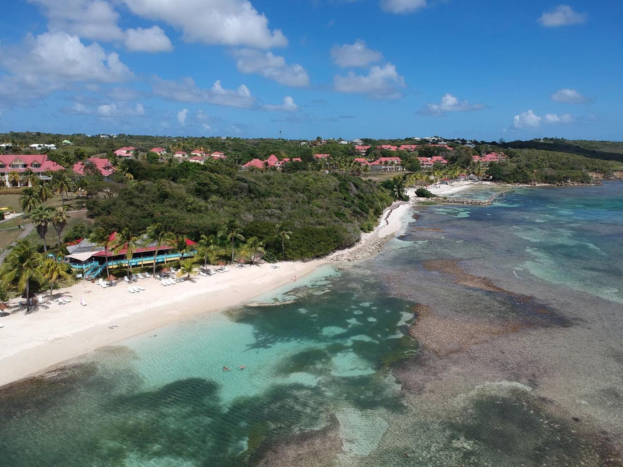 Studio Olia A P&V - Plages, Piscines Et Vue Mer! Sainte-Anne  Buitenkant foto